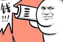 大理融资清欠服务