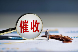 大理债务清欠服务